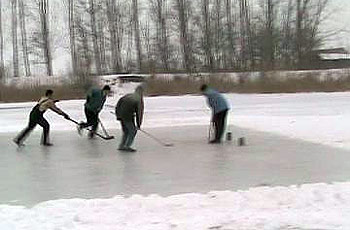 hokej na ledu